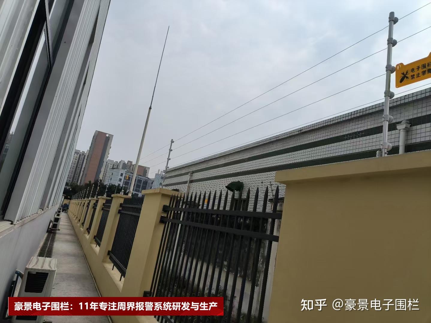 体育数据展示